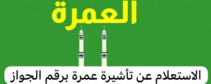 استعلام عن تأشيرة عمرة برقم الجواز