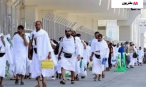 علاج المعتمرين مجانًا